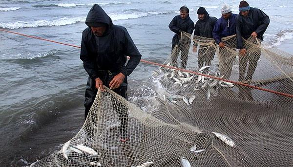 ممنوع بودن صید ماهی در دریای خزر
