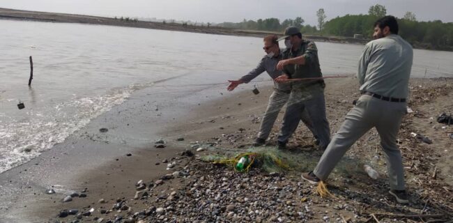 پاکسازی رودخانه پلرود از ادوات صید غیر مجاز