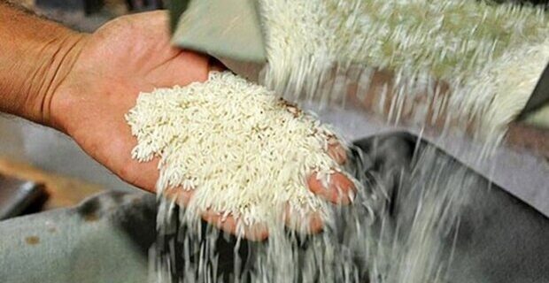 واردات برنج از ۱۵ آذر ازسر گرفته می‌شود