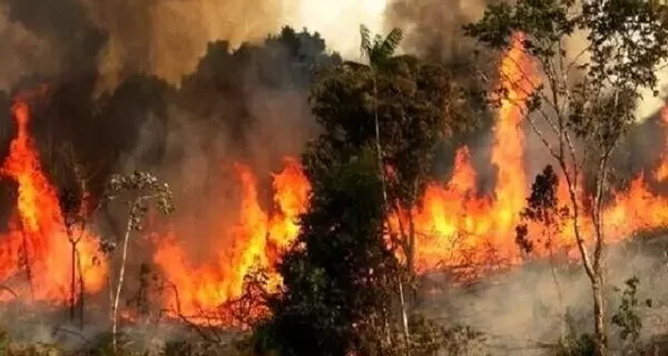 آماده باش ۶۰۰ نیرو برای مقابله با آتش سوزی های احتمالی در گیلان