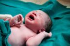 تولد ۶ نوزاد در هر شبانه روز در گیلان