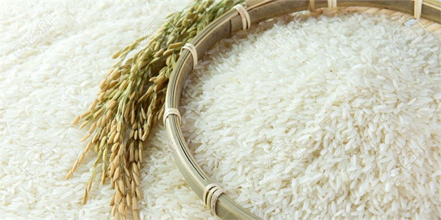 کمبود و گرانی برنج در بازار صحت دارد؟