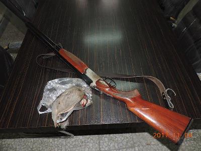 شکارچی غیر مجاز کبک در رودبار دستگیر شد