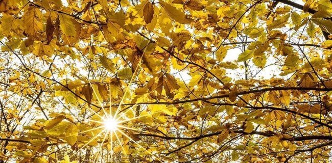 پایداری هوا تا اواسط هفته‌ی پیش رو در گیلان