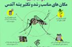شناسایی یک مورد ابتلا به بیماری های ناشی از نیش پشه آئدس در گیلان؛ موارد بهداشتی جدی گرفته شود