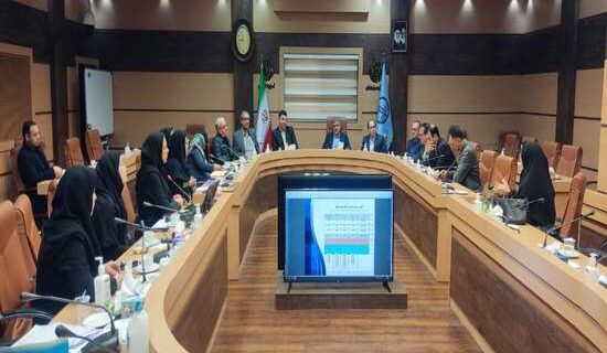 دانشگاه علوم پزشکی گیلان در تکاپوی تسهیل زایمان بی درد