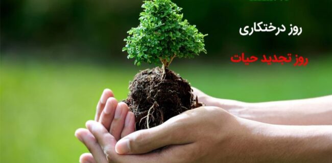 یادداشت/درختکاری؛ ریشه‌ای برای زندگی، سایه‌ای برای آینده
